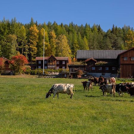 Romenstad Hytter Rendalen Exterior foto